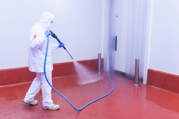 Best Oil Spill Cleanup  in Lenwood, CA