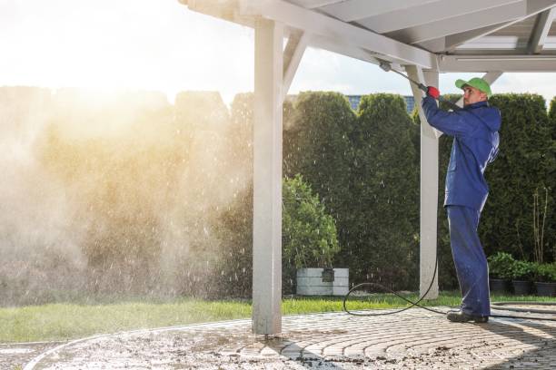 Best Roof Washing  in Lenwood, CA