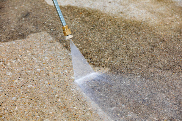 Best Solar Panel Cleaning  in Lenwood, CA