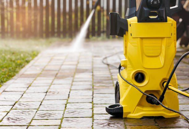 Animal Enclosure Cleaning in Lenwood, CA